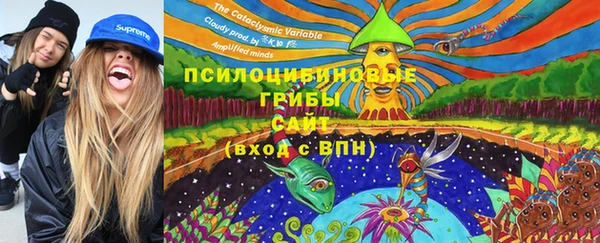 стаф Саяногорск