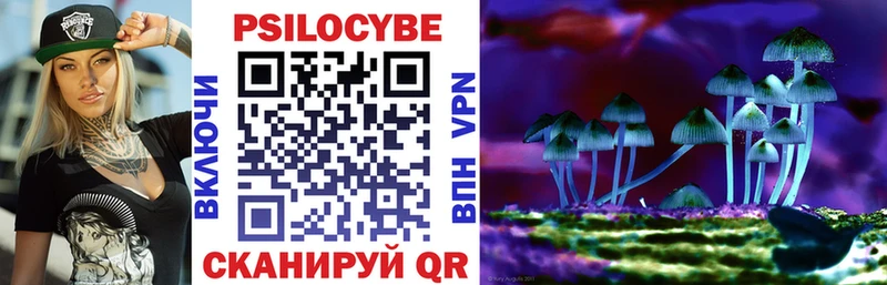 Галлюциногенные грибы Psilocybine cubensis  Весьегонск 